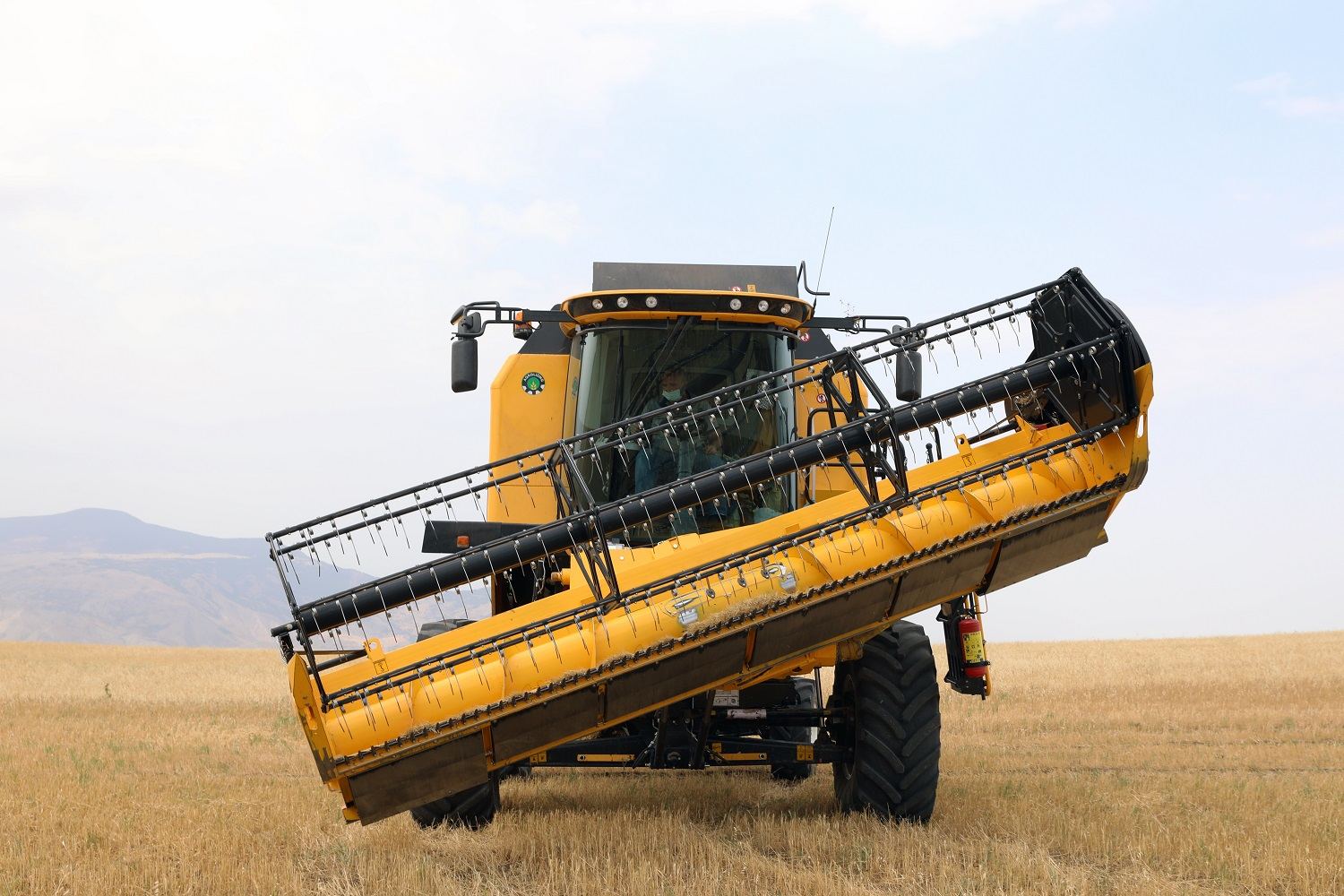 Турция сократила экспорт зерновых и бобовых в Казахстан