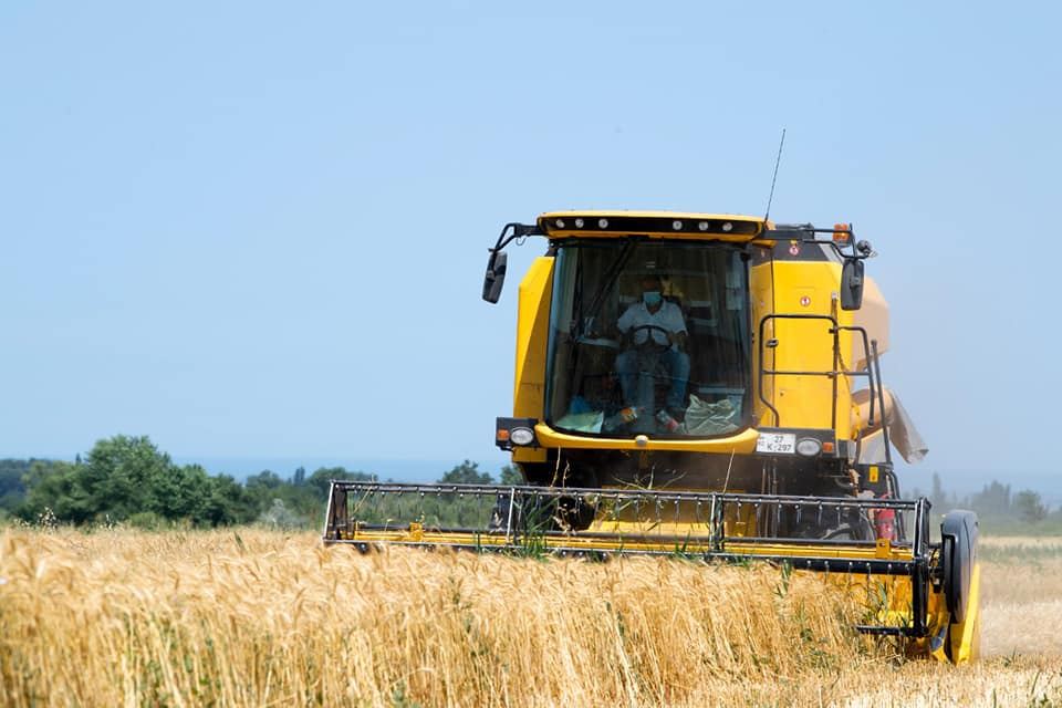 Франция увеличивает импорт зерновых и бобовых из Турции