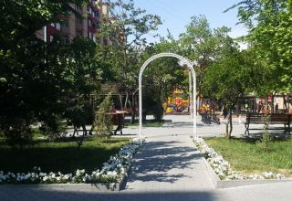 В Баку снесен незаконный объект, построенный внутри парка (ВИДЕО)
