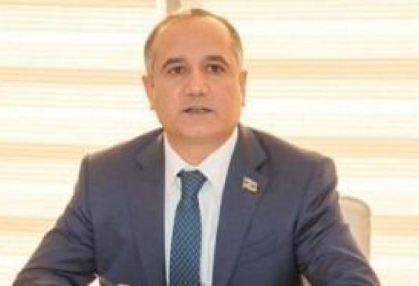 Азербайджан может пересмотреть двусторонние отношения с Сербией и Грузией – депутат
