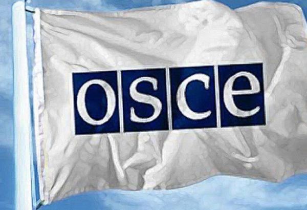 ОБСЕ провалилась в вопросе урегулирования карабахского конфликта , но не исчерпала своих ресурсов - Сергей Марков