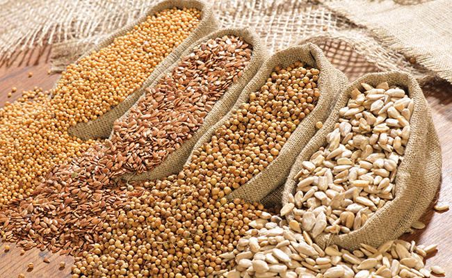 Production of oilseeds to grow in Iran