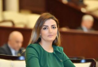 Депутат Кёнуль Нуруллаева: Активизация армянских радикалов чревата опасными прецедентами