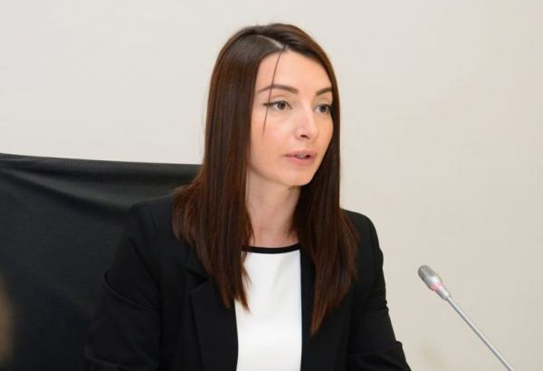 Миссия ЕС не должна нарушать процесс нормализации отношений между Азербайджаном и Арменией – Лейла Абдуллаева