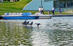 Оазис в центре Баку - под открытым небом у озера с синеватой чистой водой (ФОТО)