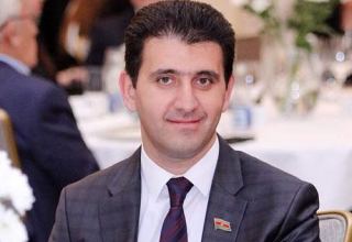 Создание лесопарков — это вклад в жизнь будущих поколений Азербайджана - депутат