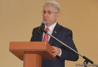 Этот мир - торжество правого дела, победы Азербайджана - глава парламентского комитета