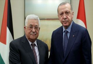 Турция продолжит поддержку Палестины