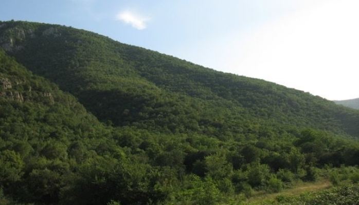 Azerbaijan calls on stopping environmental terror committed by Armenia in Kalbajar