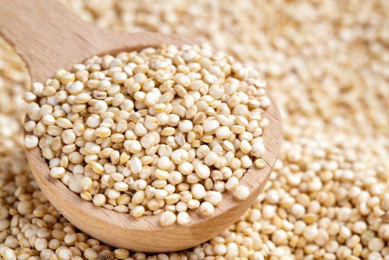 Azerbaijan creating conditions to planting quinoa