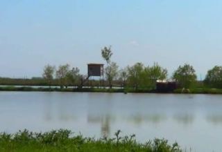 Для повышения водности  Миль-Муганского канала используется озеро в Имишли