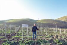 В Азербайджане создадут садовые хозяйства еще для 250 малообеспеченных семей (ФОТО)