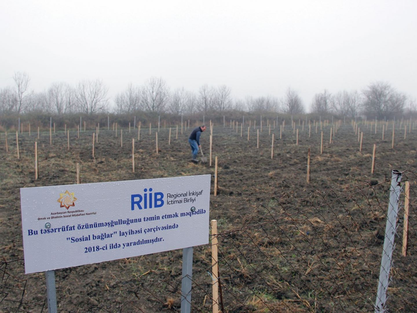 В Азербайджане создадут садовые хозяйства еще для 250 малообеспеченных семей (ФОТО)