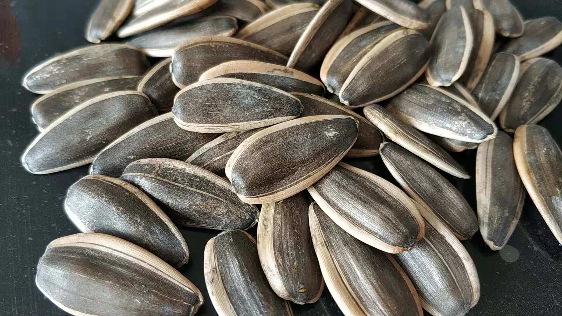 Georgia reveals volume of exported sunflower seeds