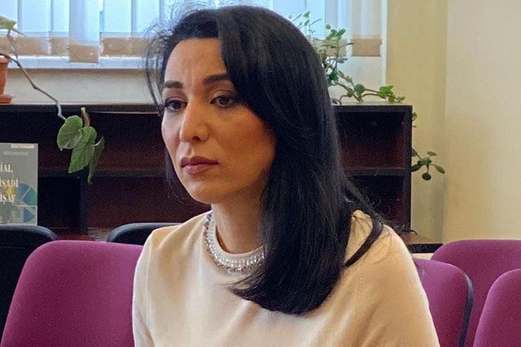Ermənistan beynəlxalq hüququ kobud şəkildə pozur - Ombudsman