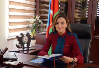 Азербайджанский депутат в европейской прессе обратила внимание мирового сообщества на преступления армян на почве ненависти