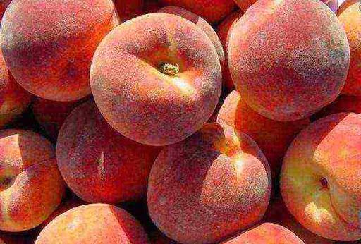 Georgia sees increase in peaches export
