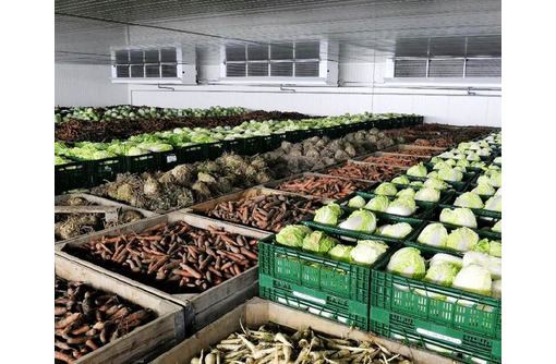 New cold storage facilities for agricultural products to be built in Turkmenistan