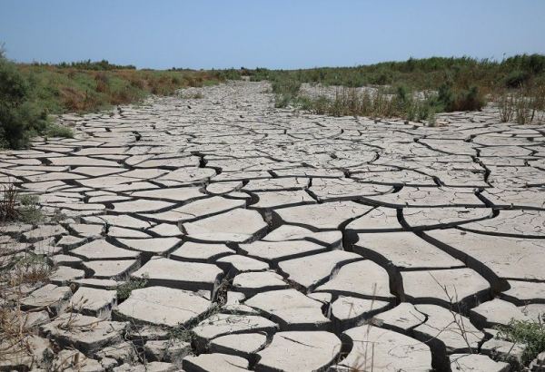 В 90 департаментах Франции ввели ограничения на воду из-за засухи