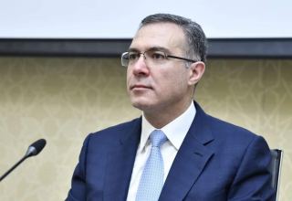 No country can prevent spread of British strain of COVID-19 - Azerbaijan's president aide
