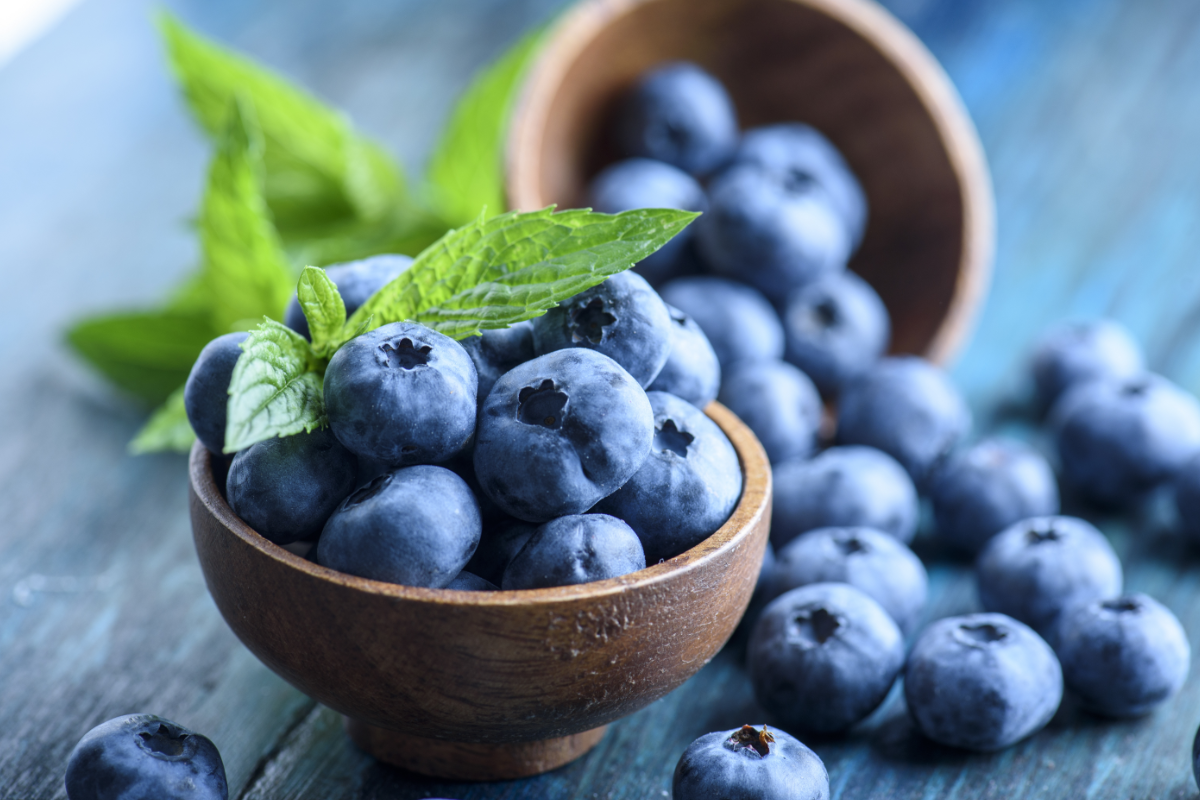 Georgia can become one of largest exporters of blueberries
