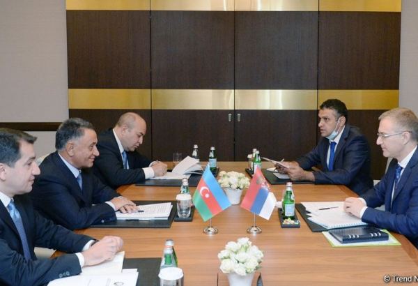 Состоялась встреча между вице-премьером Сербии и азербайджанской делегацией (ФОТО)
