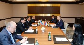 Azerbaijani high-rank officials hold meeting with Serbian Deputy PM (PHOTO)