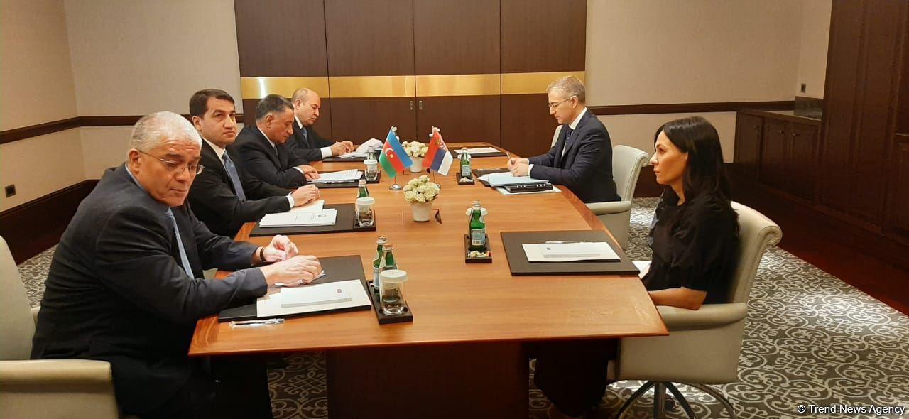 Состоялась встреча между вице-премьером Сербии и азербайджанской делегацией (ФОТО)