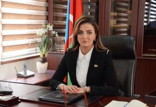Наш приоритет — восстановление территориальной целостности Азербайджана — депутат