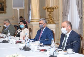 Помощник Президента Азербайджана провел встречу с группой известных деятелей культуры и искусства (ФОТО)