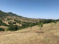 В Азербайджане продолжает мониторинг агросадов на открытых лесных участках (ФОТО)