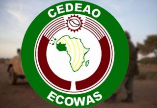 ECOWAS suspends Mali's membership until democracy restored: official