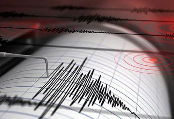 В Тихом океане произошло землетрясение магнитудой 7,4