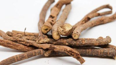 Turkmenistan’s Agro-industrial Complex exceeds plan for licorice root production