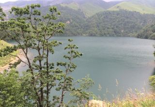 В Азербайджане будет создан новый национальный парк