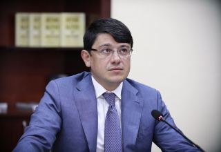 Azerbaijani diaspora's involvement in Karabakh's revival - key task, says official