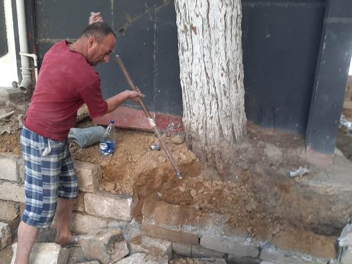 BŞİH: Ağacların dibinə tökülən beton təmizlənib, ərazi nəzarətə götürülüb (FOTO)