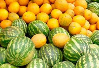 Uzbekistan more than doubles export of melons