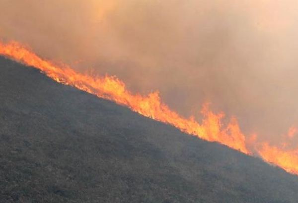 В Агсуинском районе локализуют пожар в высокогорном селе