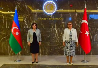 Спикер парламента Азербайджана встретилась с  министром торговли Турции (ФОТО)