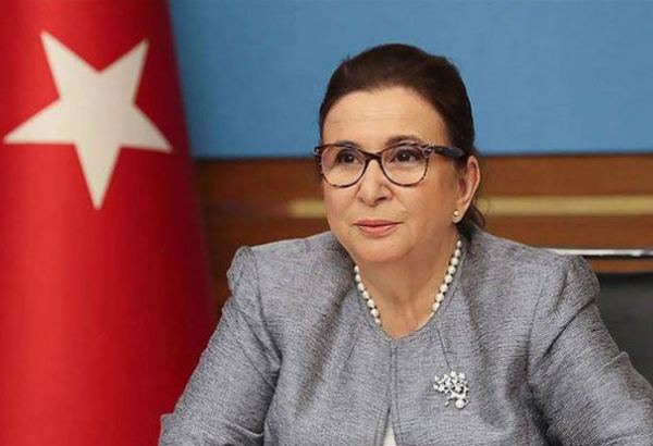 Нахчыванский коридор крайне важен для Турции – турецкий министр