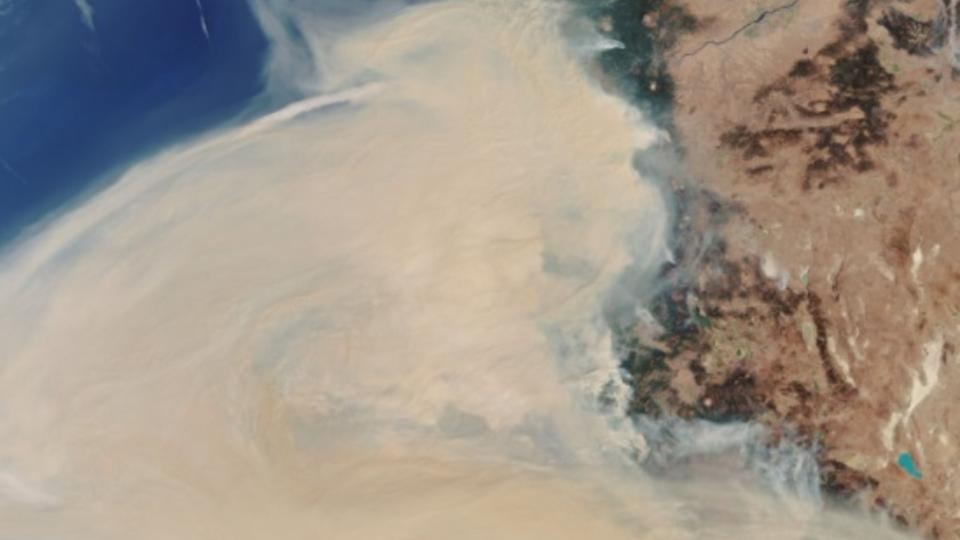 Дым от лесных пожаров над США разглядели из космоса