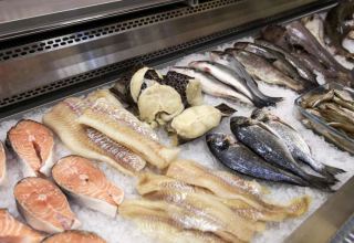 Объем экспорта рыбы и морепродуктов из Азербайджана превысил $70 тыс.