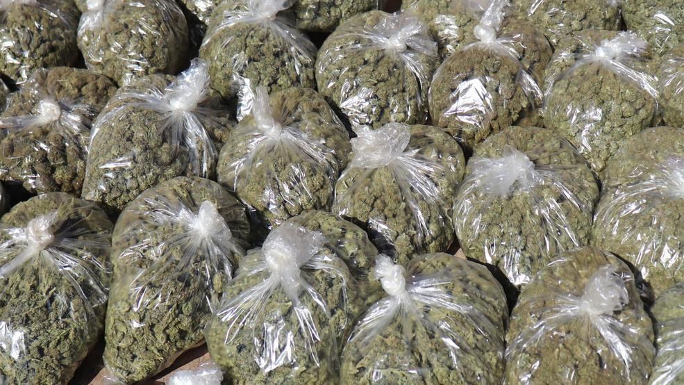 Argentine Navy seizes 4 tons of marijuana