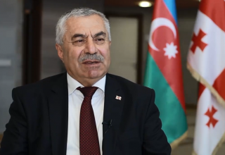 Georgia's MP: Azerbaijani energy resources play major role in global market