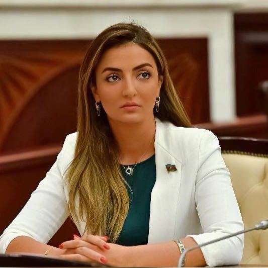 Азербайджанский депутат: У Армении нет иного пути, кроме выполнения условий Азербайджана