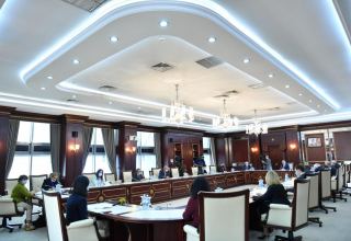Парламентский комитет отчитался перед Милли Меджлисом Азербайджана (ФОТО)