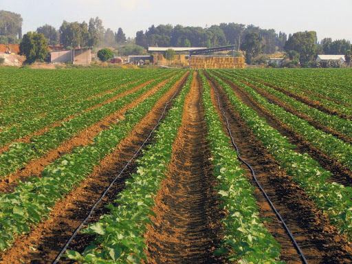 Foreign investments made in Iran's agricultural sector