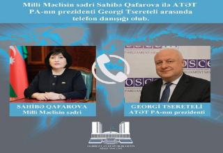 Phone talk held between speaker of Azerbaijan's Parliament, OSCE PA president