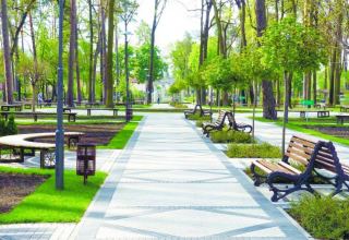 В окрестностях Баку будет создан  Ботанический сад